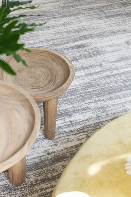 SALAMANCA SER - Second Image